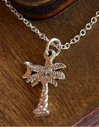 South Carolina Earrings/Necklace