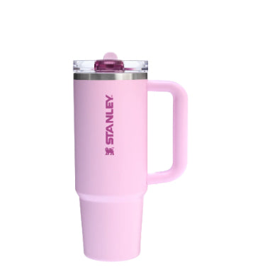 Stanley Quencher ProTour Flip Straw Tumbler | 30 OZ