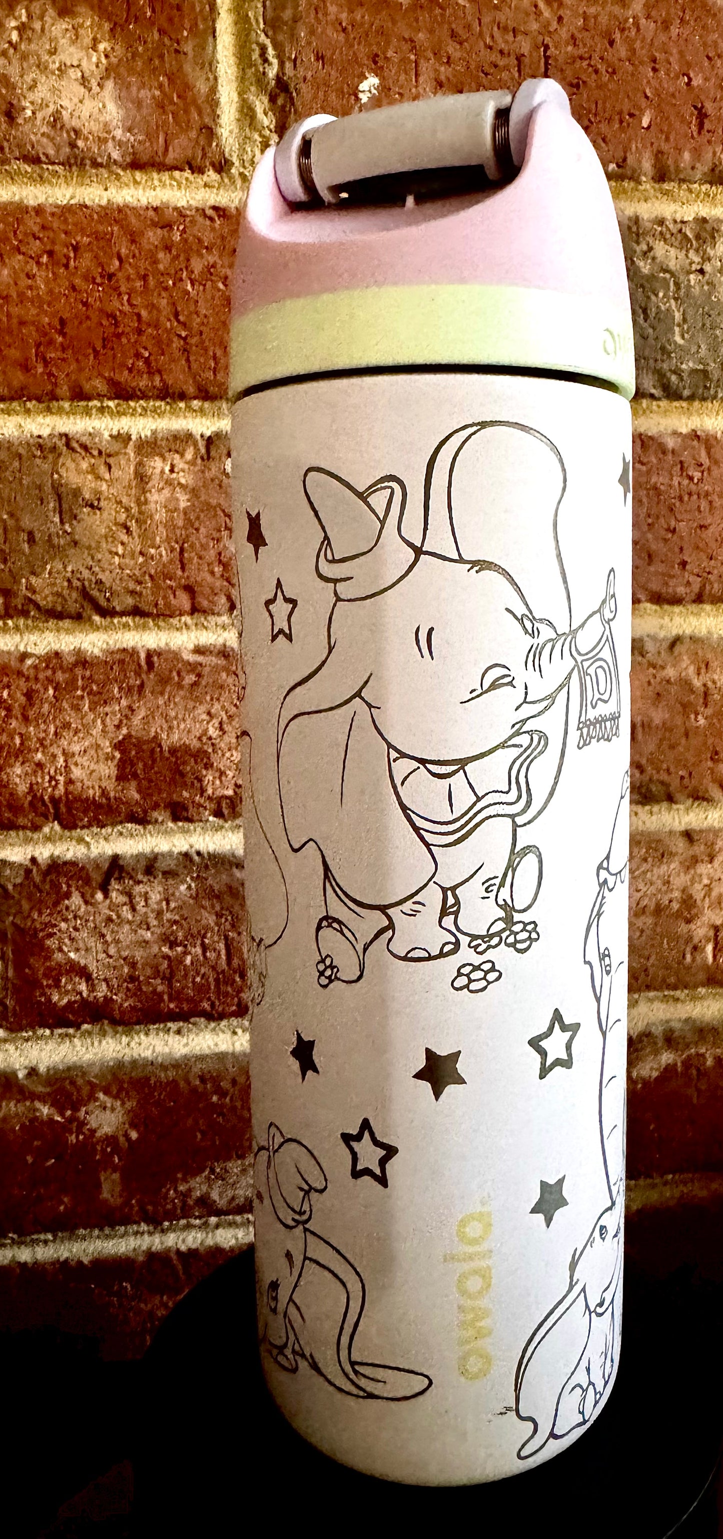 Dumbo 24oz Owala