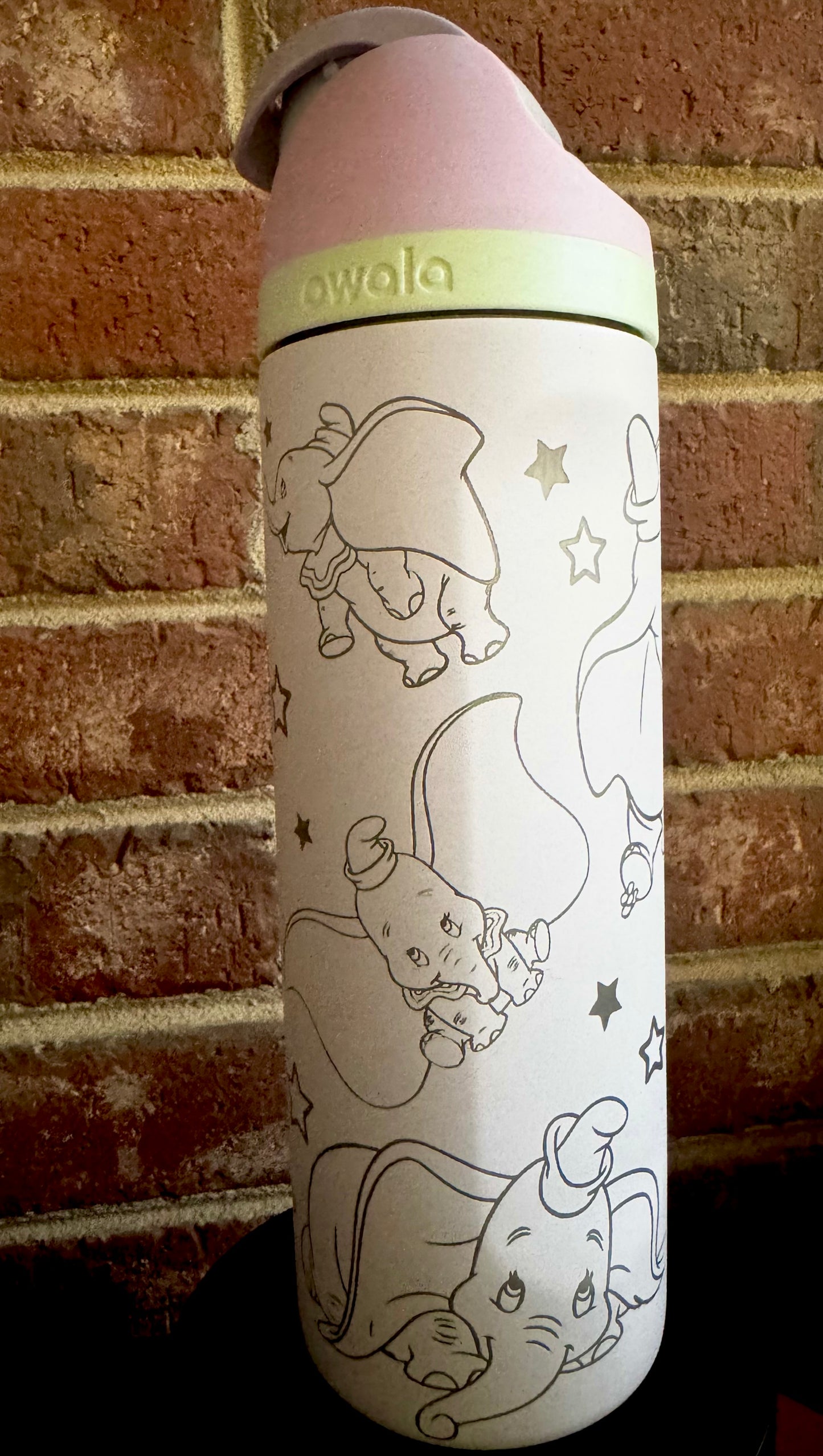 Dumbo 24oz Owala