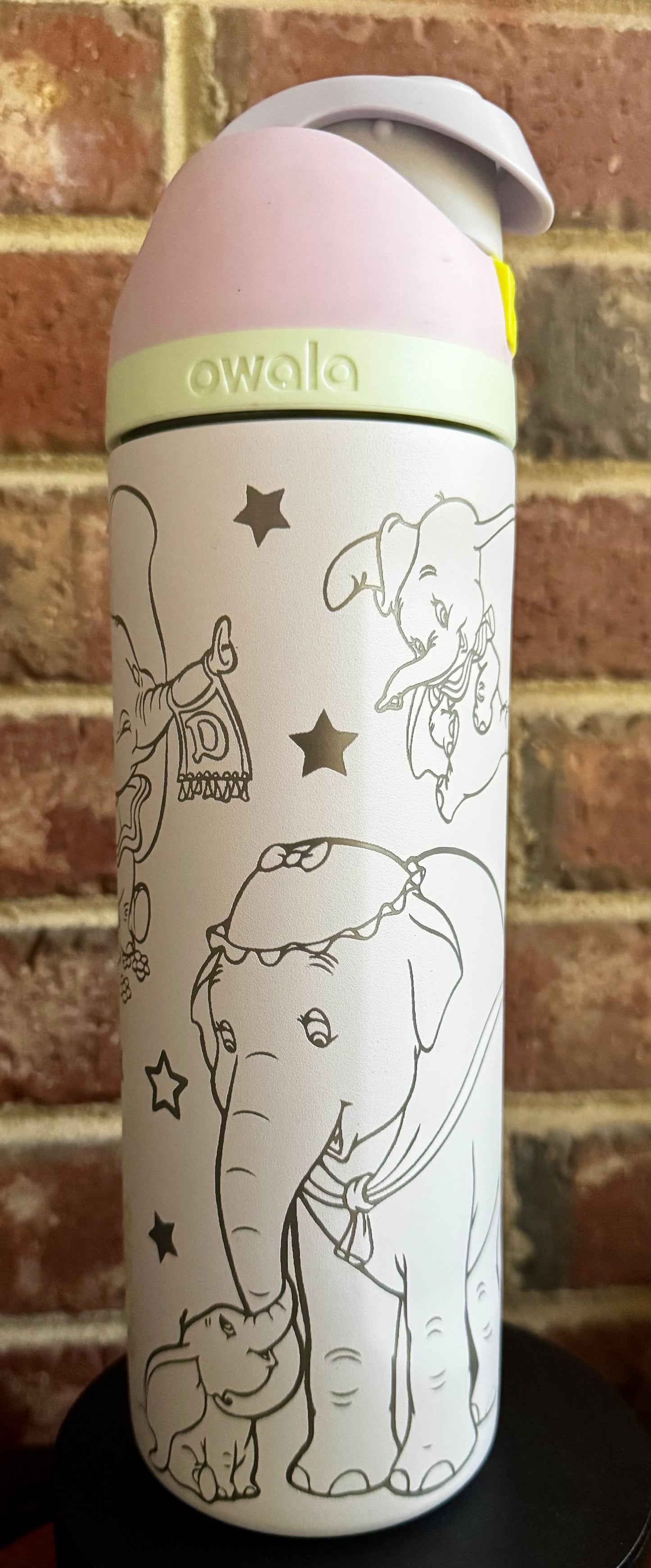 Dumbo 24oz Owala